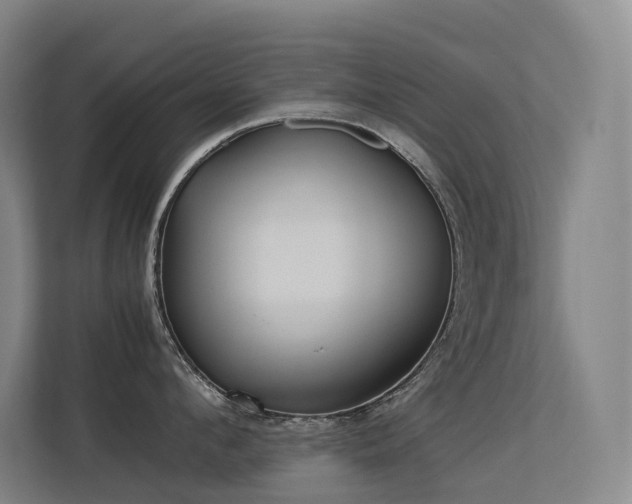 X0000113240912200909101406