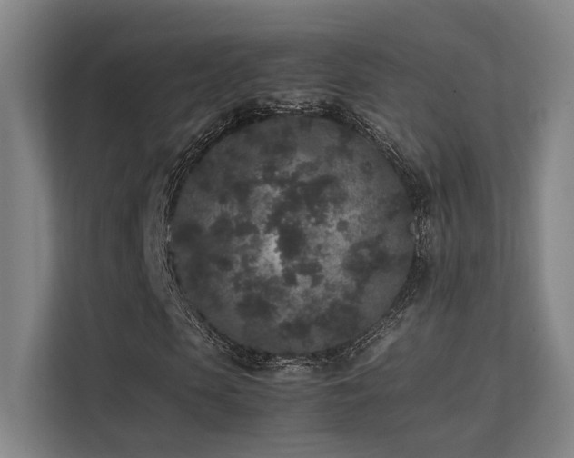 X0000113240913200909101405