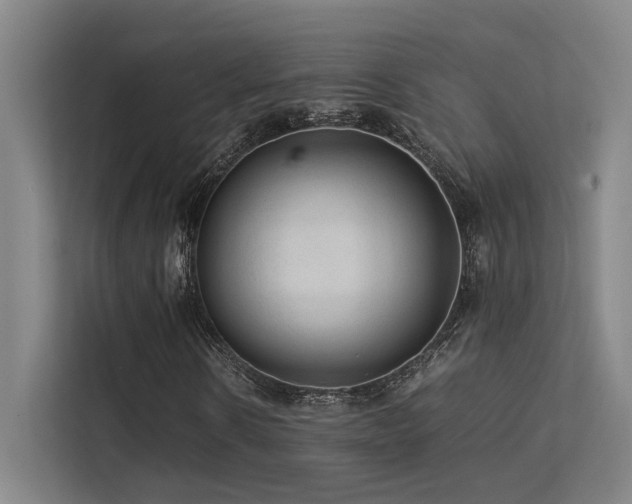 X0000113240914200909101405