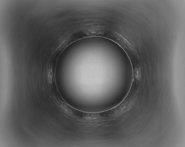 X0000113240915200909101405