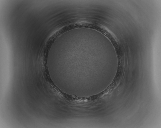 X0000113240919200909101405