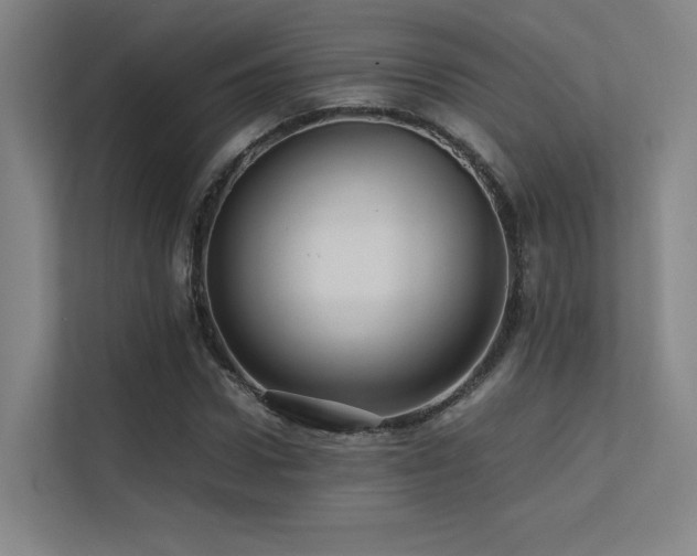 X0000113240922200909101405