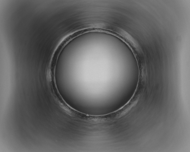 X0000113240924200909101405