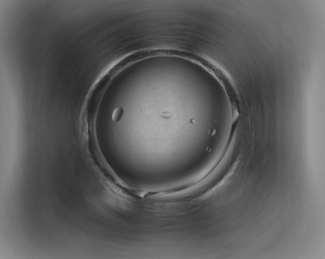 X0000113240925200909101405