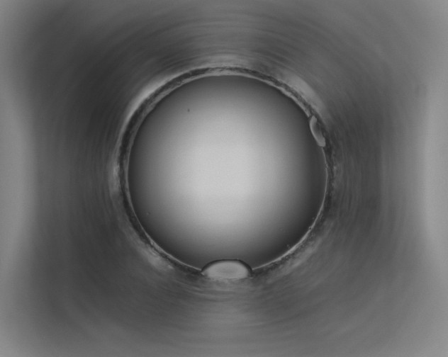 X0000113240928200909101405