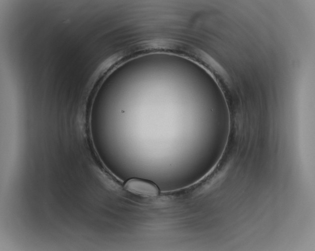 X0000113240930200909101405