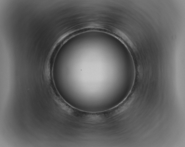 X0000113240931200909101405