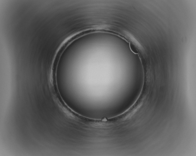 X0000113240932200909101405