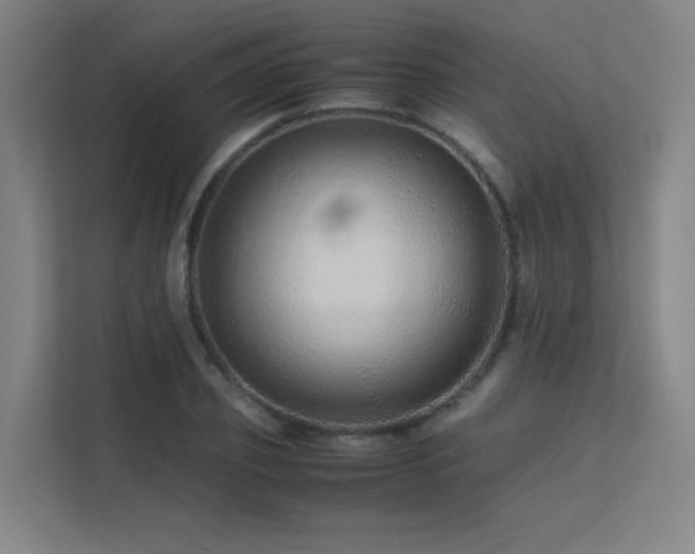 X0000113240933200909101405