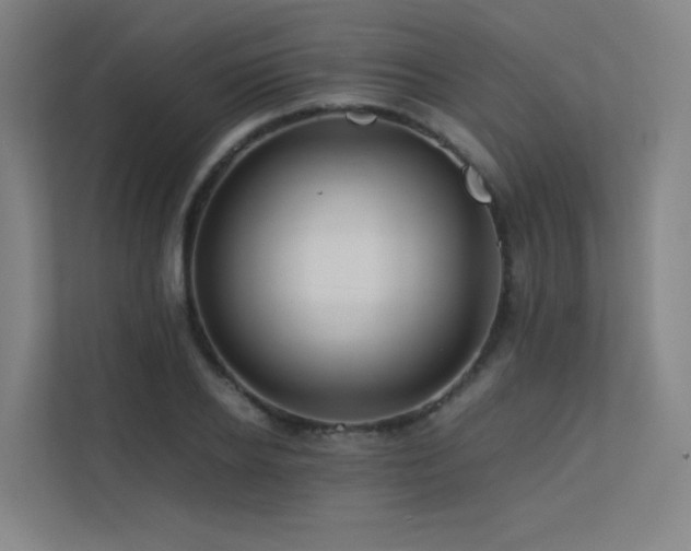 X0000113240934200909101405