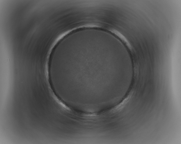 X0000113240935200909101405