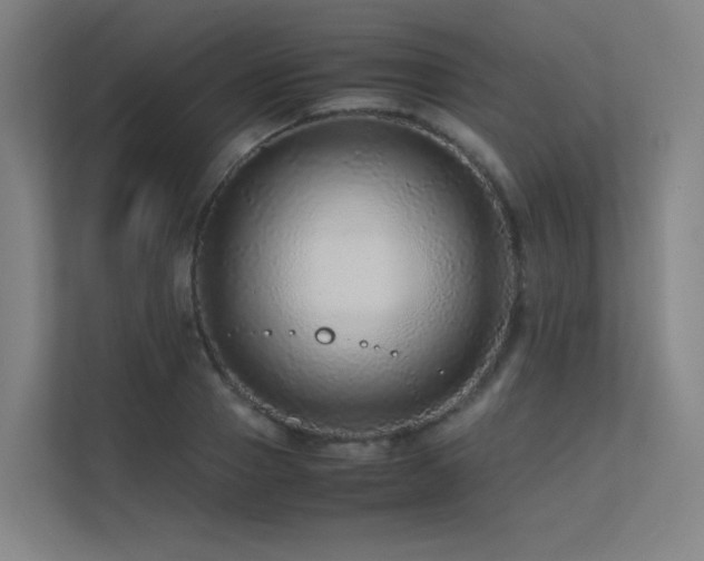 X0000113240937200909101405