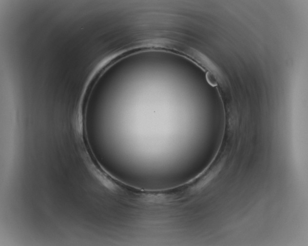 X0000113240940200909101405