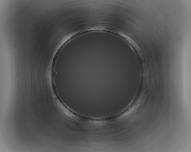 X0000113240941200909101405