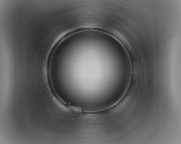 X0000113240942200909101405