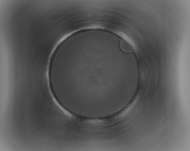 X0000113240943200909101405