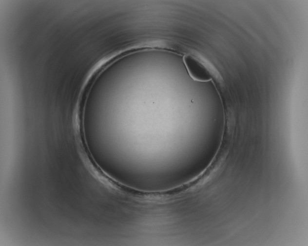 X0000113240944200909101405