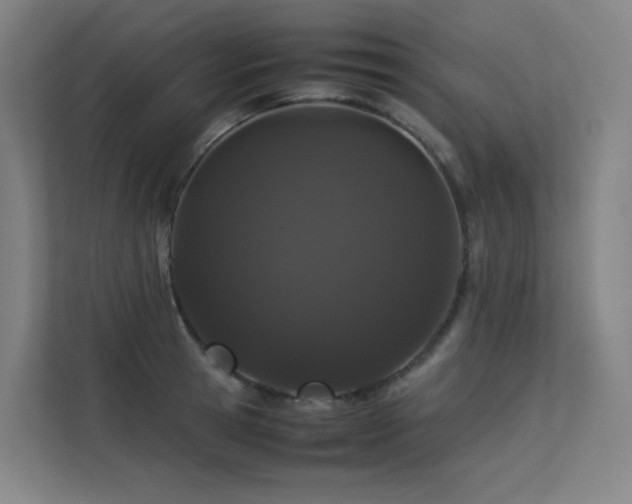 X0000113240945200909101405