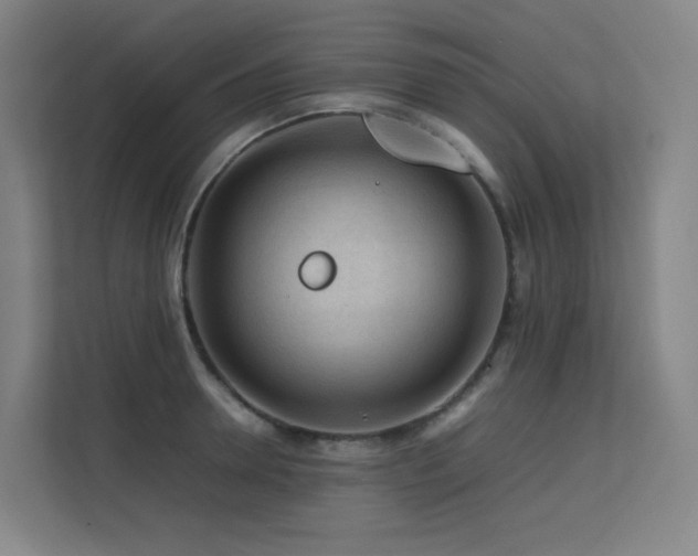 X0000113240946200909101405