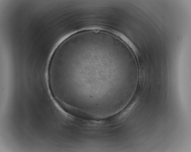 X0000113240951200909101405