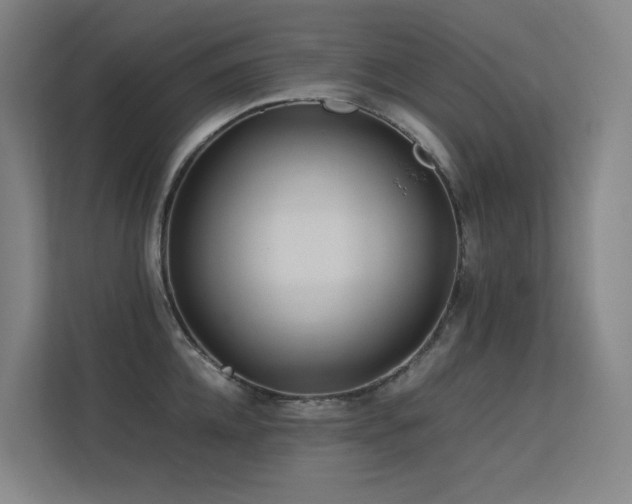 X0000113240952200909101405