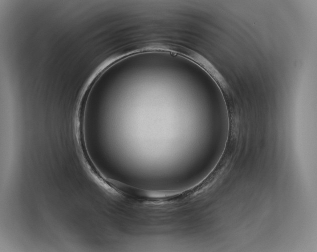 X0000113240955200909101406