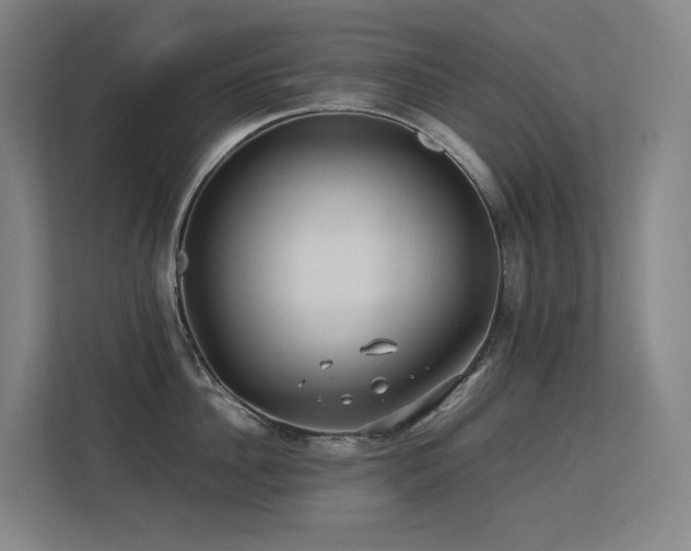 X0000113240956200909101406