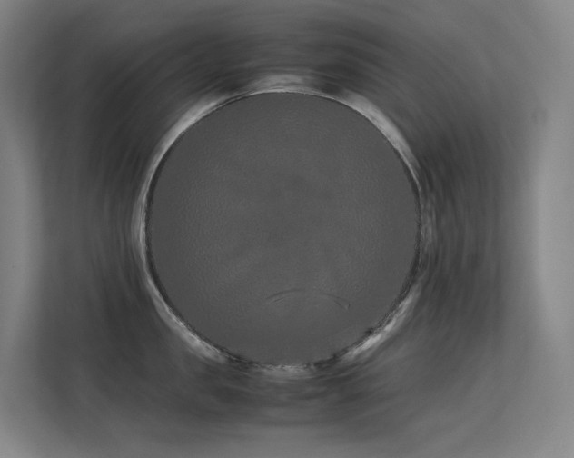 X0000113240957200909101406