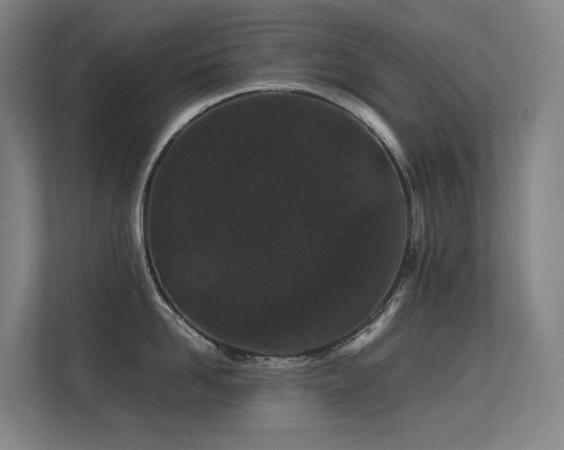 X0000113240958200909101406