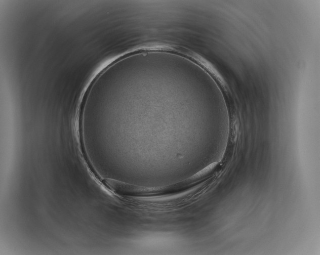 X0000113240959200909101406