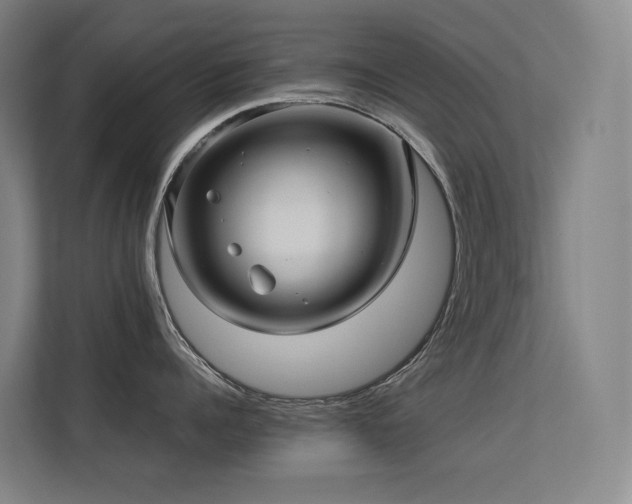 X0000113240960200909101406