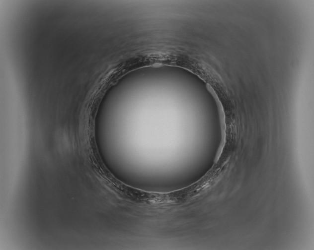 X0000113240961200909101405