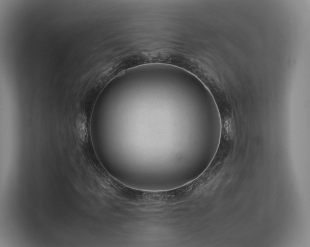 X0000113240963200909101405