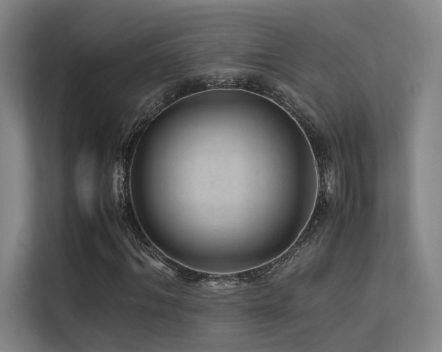 X0000113240964200909101405