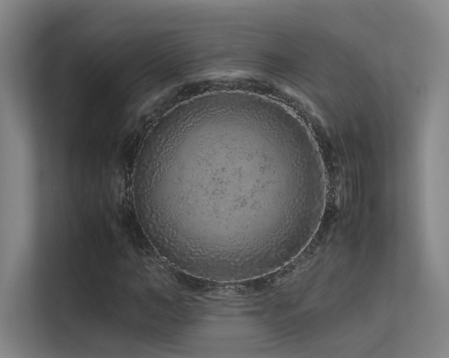 X0000113240966200909101405