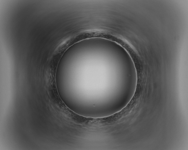 X0000113240967200909101405