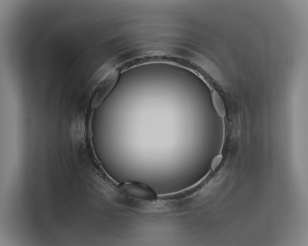 X0000113240969200909101405