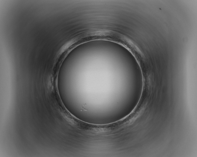 X0000113240970200909101405