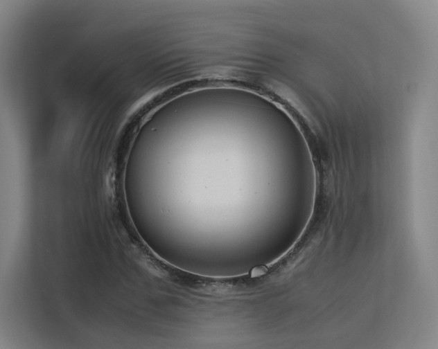 X0000113240971200909101405