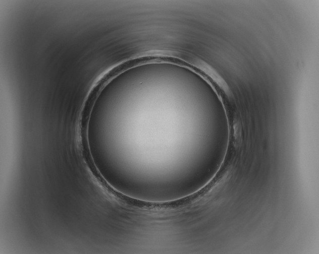 X0000113240972200909101405