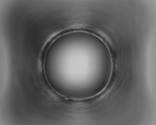 X0000113240973200909101405