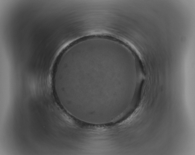 X0000113240975200909101405