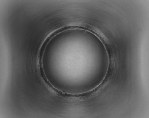 X0000113240976200909101405