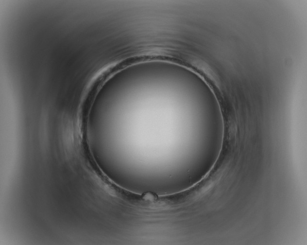 X0000113240979200909101405