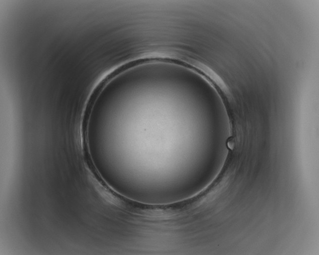 X0000113240980200909101405