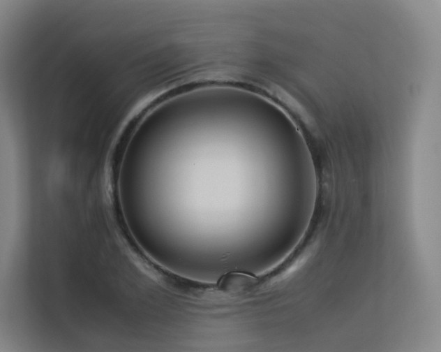 X0000113240981200909101405