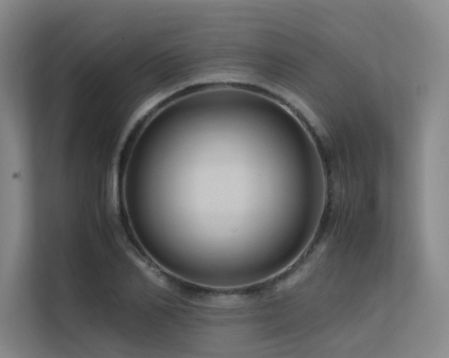 X0000113240982200909101405