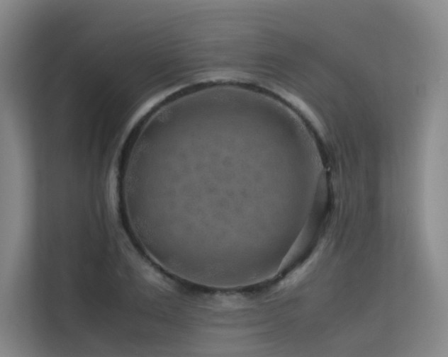 X0000113240983200909101405