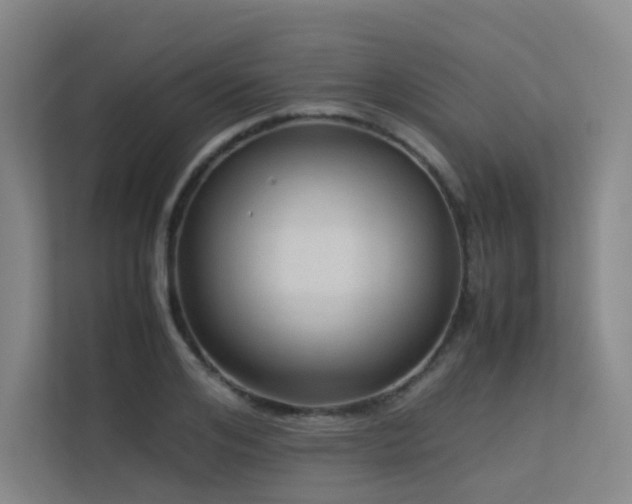 X0000113240984200909101405