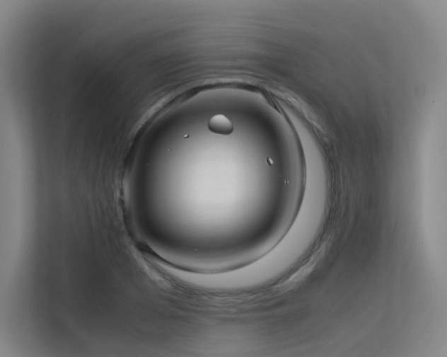 X0000113240985200909101405